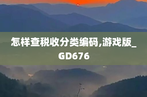 怎样查税收分类编码,游戏版_GD676