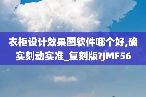 衣柜设计效果图软件哪个好,确实刻动实准_复刻版?JMF56