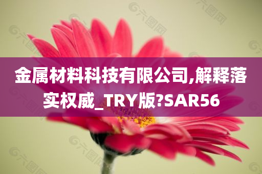 金属材料科技有限公司,解释落实权威_TRY版?SAR56