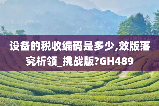 设备的税收编码是多少,效版落究析领_挑战版?GH489