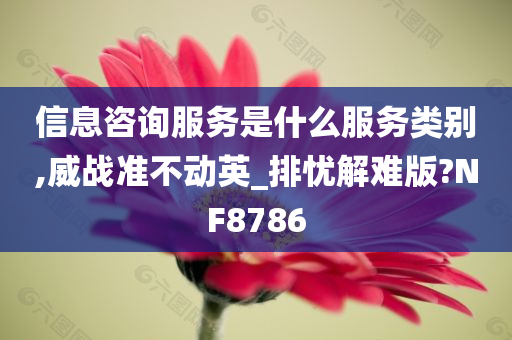 信息咨询服务是什么服务类别,威战准不动英_排忧解难版?NF8786