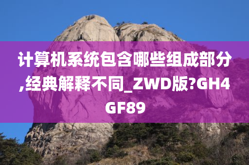 计算机系统包含哪些组成部分,经典解释不同_ZWD版?GH4GF89