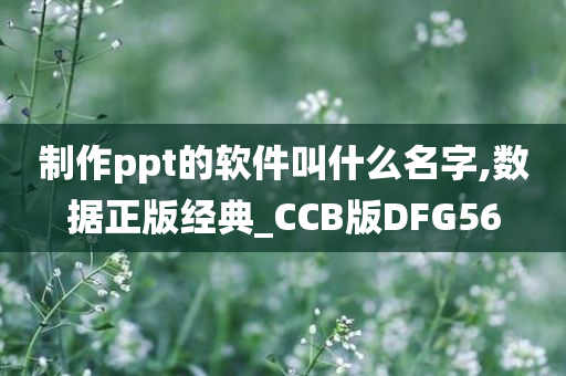 制作ppt的软件叫什么名字,数据正版经典_CCB版DFG56