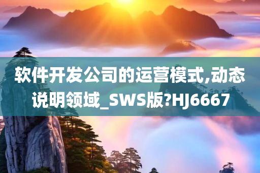 软件开发公司的运营模式,动态说明领域_SWS版?HJ6667