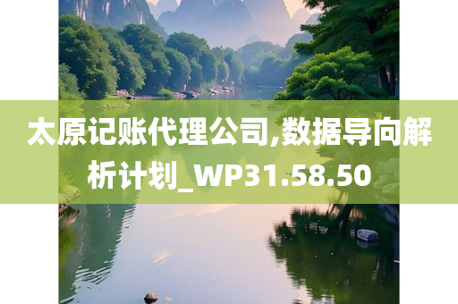 太原记账代理公司,数据导向解析计划_WP31.58.50