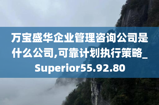 万宝盛华企业管理咨询公司是什么公司,可靠计划执行策略_Superior55.92.80