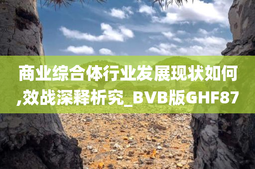 商业综合体行业发展现状如何,效战深释析究_BVB版GHF87