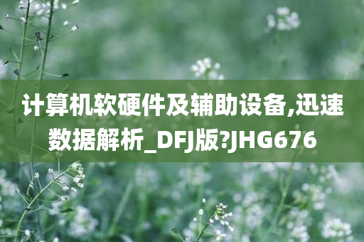 计算机软硬件及辅助设备,迅速数据解析_DFJ版?JHG676