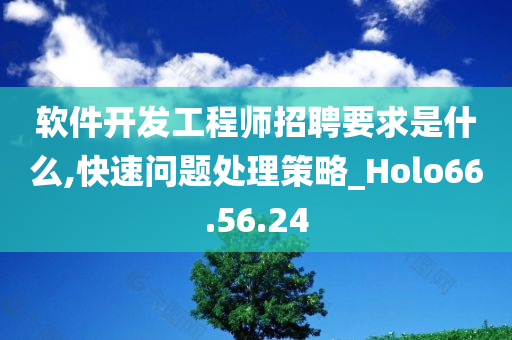 软件开发工程师招聘要求是什么,快速问题处理策略_Holo66.56.24