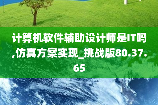 计算机软件辅助设计师是IT吗,仿真方案实现_挑战版80.37.65