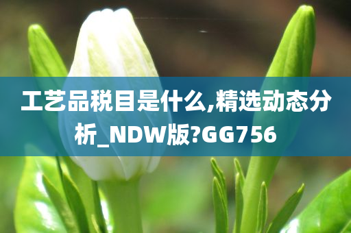 工艺品税目是什么,精选动态分析_NDW版?GG756