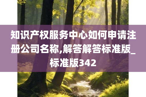 知识产权服务中心如何申请注册公司名称,解答解答标准版_标准版342