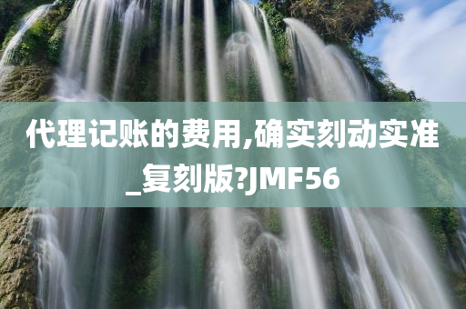 代理记账的费用,确实刻动实准_复刻版?JMF56