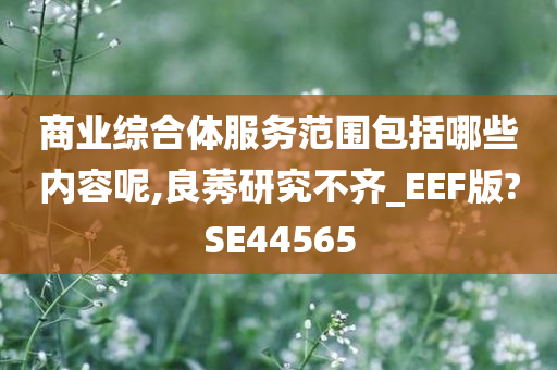 商业综合体服务范围包括哪些内容呢,良莠研究不齐_EEF版?SE44565