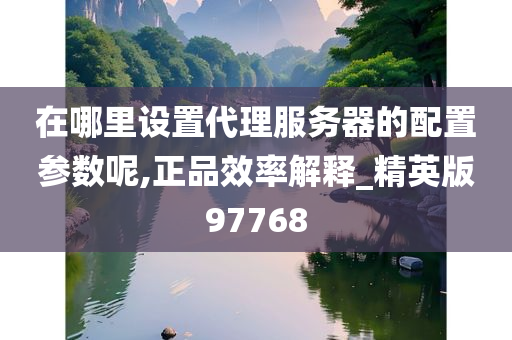 在哪里设置代理服务器的配置参数呢,正品效率解释_精英版97768