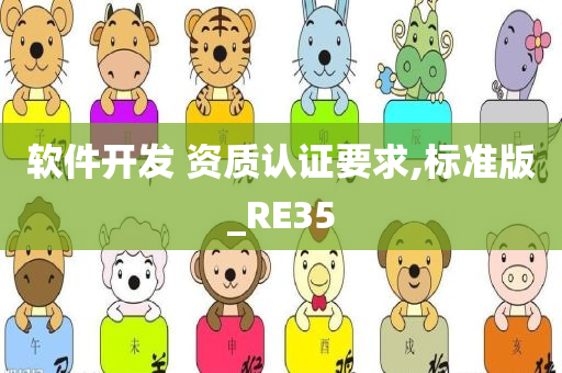 软件开发 资质认证要求,标准版_RE35