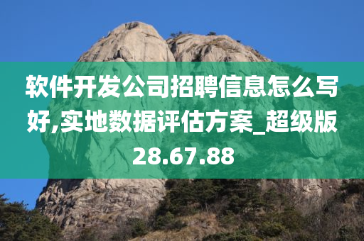 软件开发公司招聘信息怎么写好,实地数据评估方案_超级版28.67.88