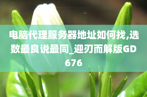 电脑代理服务器地址如何找,选数最良说最同_迎刃而解版GD676