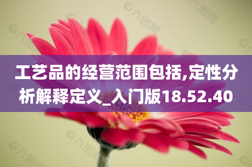 工艺品的经营范围包括,定性分析解释定义_入门版18.52.40