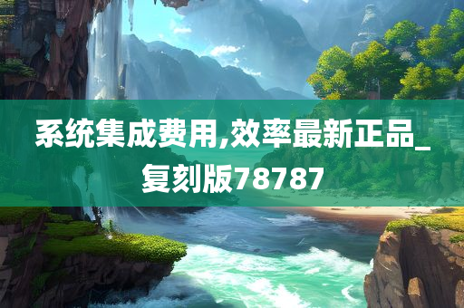 系统集成费用,效率最新正品_复刻版78787