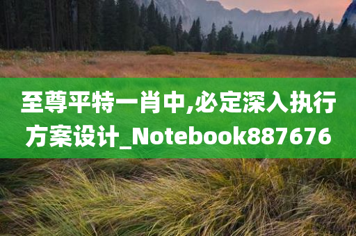 至尊平特一肖中,必定深入执行方案设计_Notebook887676