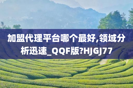 加盟代理平台哪个最好,领域分析迅速_QQF版?HJGJ77