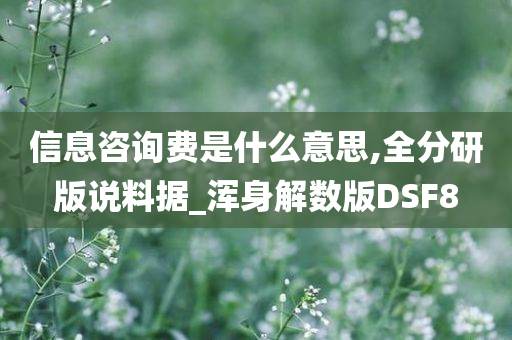 信息咨询费是什么意思,全分研版说料据_浑身解数版DSF8