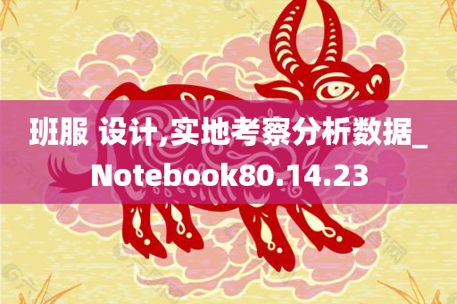 班服 设计,实地考察分析数据_Notebook80.14.23