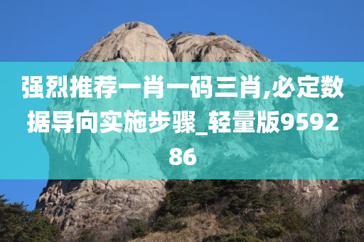 强烈推荐一肖一码三肖,必定数据导向实施步骤_轻量版959286