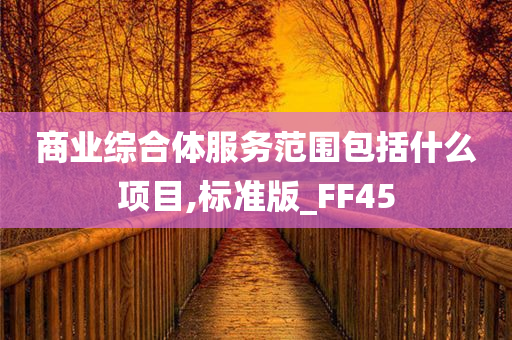 商业综合体服务范围包括什么项目,标准版_FF45