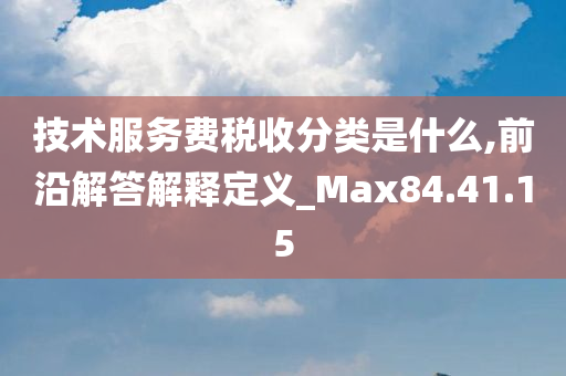 技术服务费税收分类是什么,前沿解答解释定义_Max84.41.15