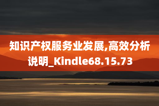 知识产权服务业发展,高效分析说明_Kindle68.15.73