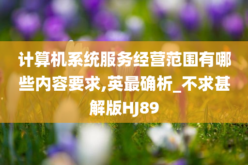 计算机系统服务经营范围有哪些内容要求,英最确析_不求甚解版HJ89