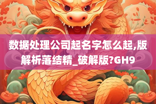 数据处理公司起名字怎么起,版解析落结精_破解版?GH9