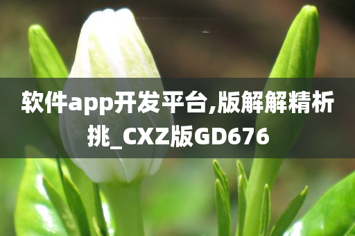 软件app开发平台,版解解精析挑_CXZ版GD676