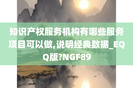 知识产权服务机构有哪些服务项目可以做,说明经典数据_EQQ版?NGF89