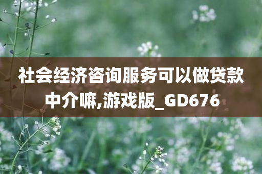 社会经济咨询服务可以做贷款中介嘛,游戏版_GD676