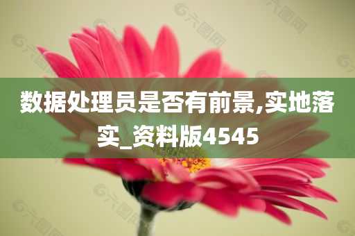 数据处理员是否有前景,实地落实_资料版4545