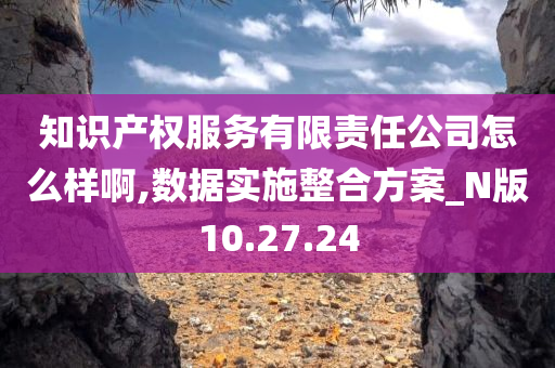 知识产权服务有限责任公司怎么样啊,数据实施整合方案_N版10.27.24