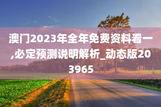 澳门2023年全年免费资料看一,必定预测说明解析_动态版203965