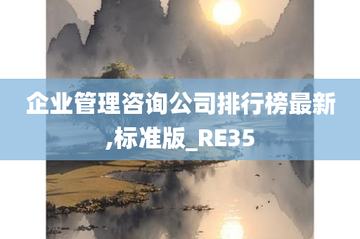 企业管理咨询公司排行榜最新,标准版_RE35