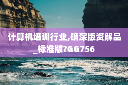 计算机培训行业,确深版资解品_标准版?GG756