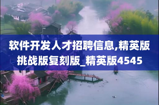 软件开发人才招聘信息,精英版挑战版复刻版_精英版4545