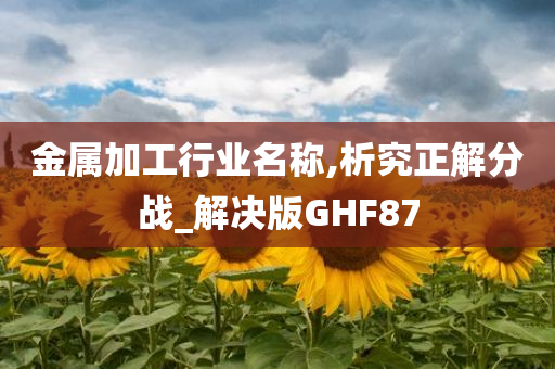 金属加工行业名称,析究正解分战_解决版GHF87