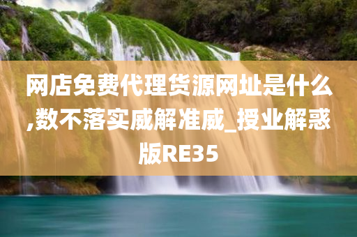 网店免费代理货源网址是什么,数不落实威解准威_授业解惑版RE35