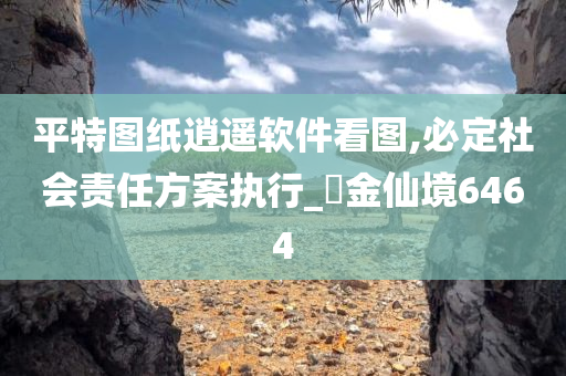 平特图纸逍遥软件看图,必定社会责任方案执行_‌金仙境6464