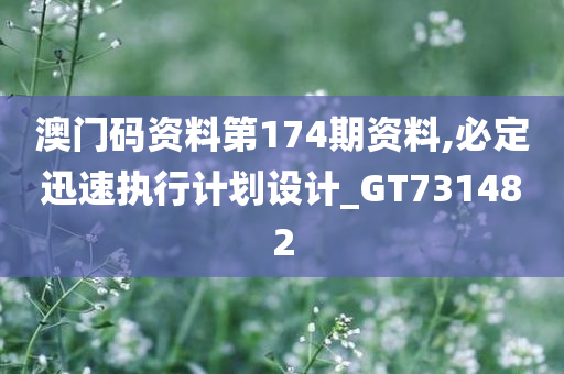 澳门码资料第174期资料,必定迅速执行计划设计_GT731482