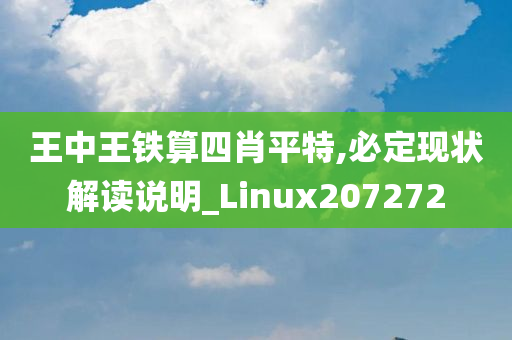 王中王铁算四肖平特,必定现状解读说明_Linux207272