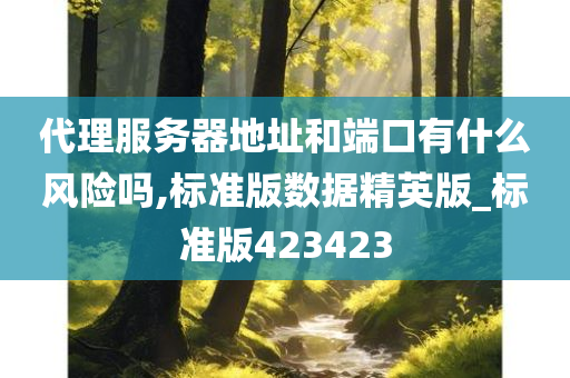 代理服务器地址和端口有什么风险吗,标准版数据精英版_标准版423423