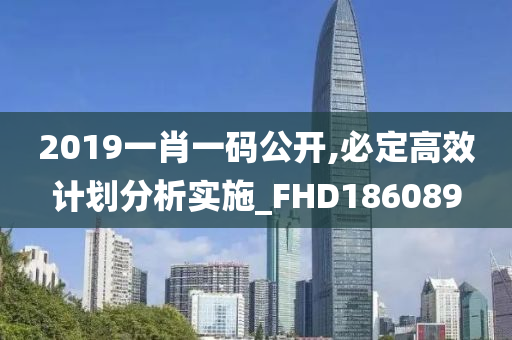 2019一肖一码公开,必定高效计划分析实施_FHD186089